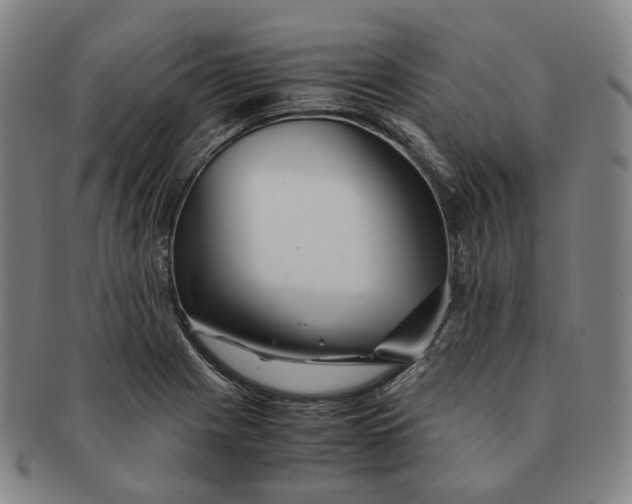 X0000091241225200708301531