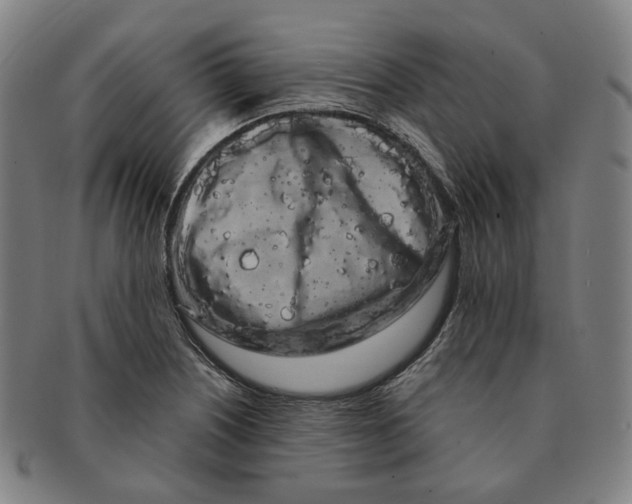 X0000091241226200708301531