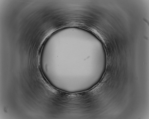 X0000091241227200708301531