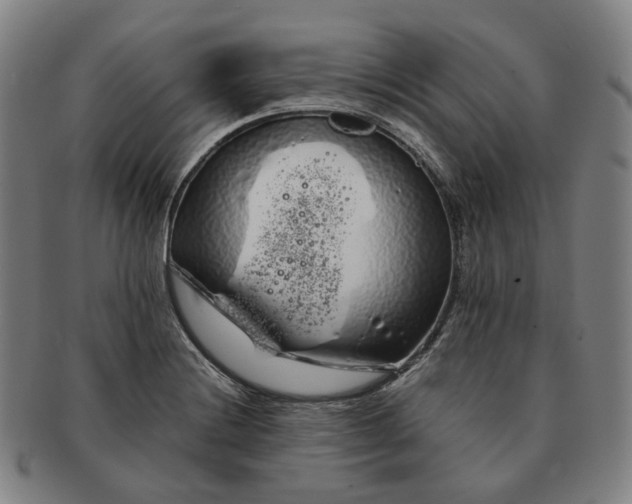 X0000091241228200708301531