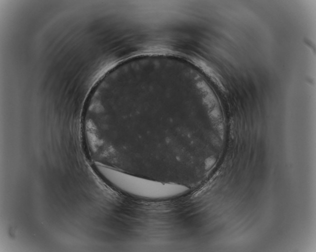 X0000091241229200708301531