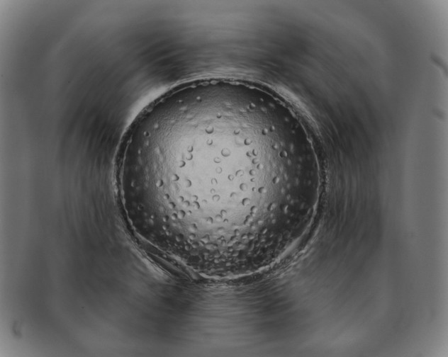 X0000091241230200708301531