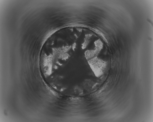 X0000091241231200708301531