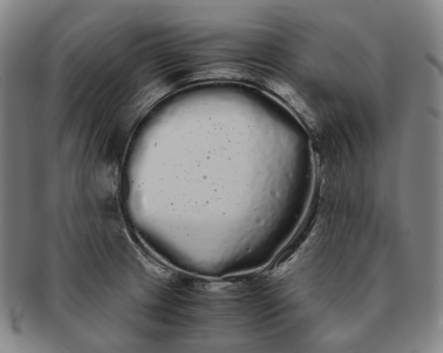 X0000091241233200708301531