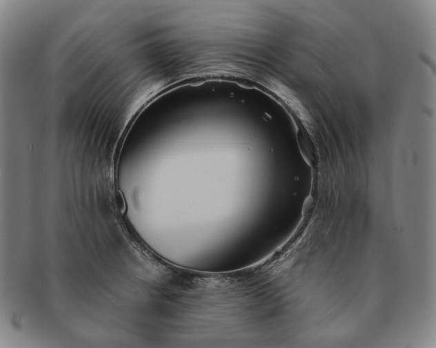 X0000091241234200708301531