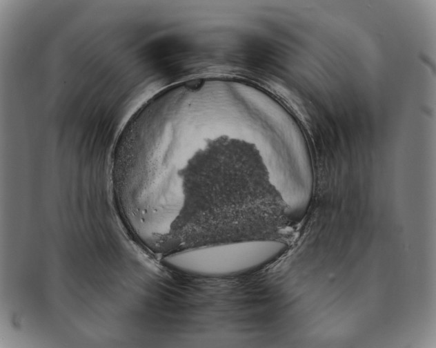 X0000091241235200708301531