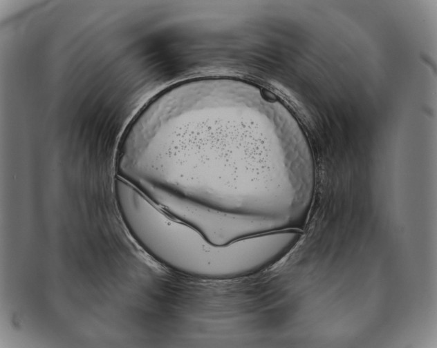 X0000091241236200708301531