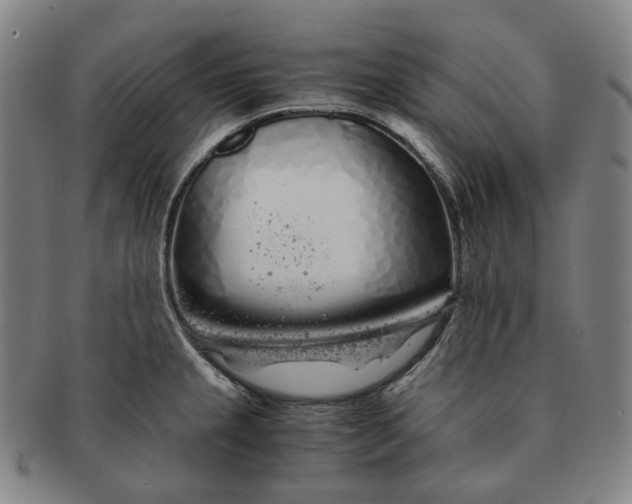 X0000091241237200708301531