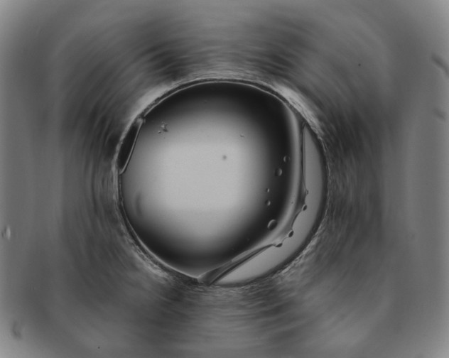 X0000091241238200708301531