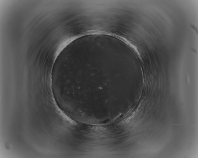 X0000091241239200708301531