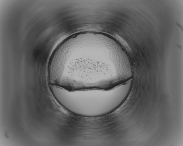 X0000091241240200708301531