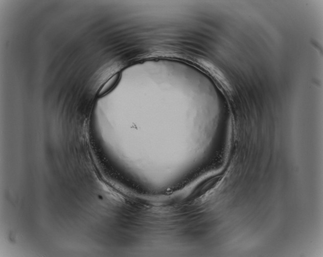 X0000091241241200708301531