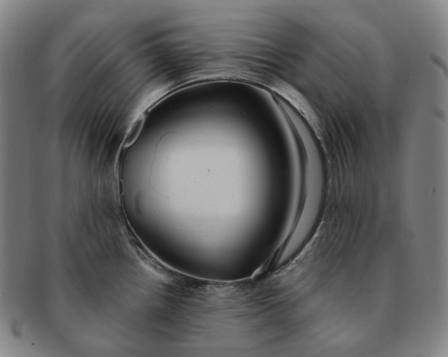 X0000091241242200708301531