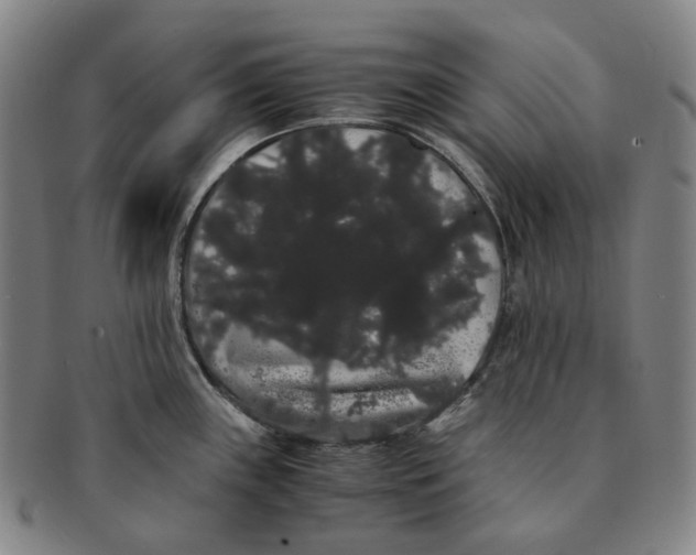 X0000091241243200708301531