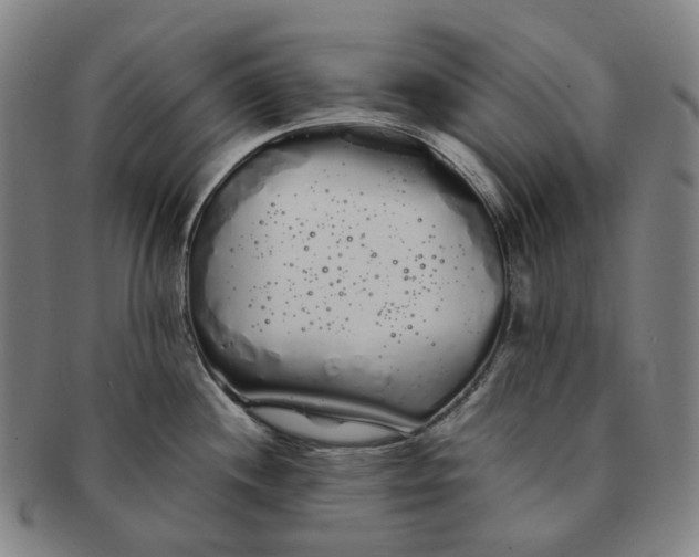 X0000091241244200708301531