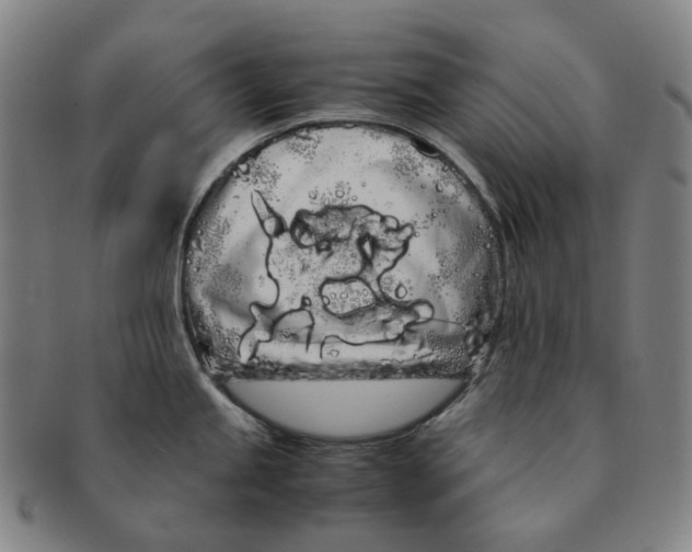 X0000091241245200708301531