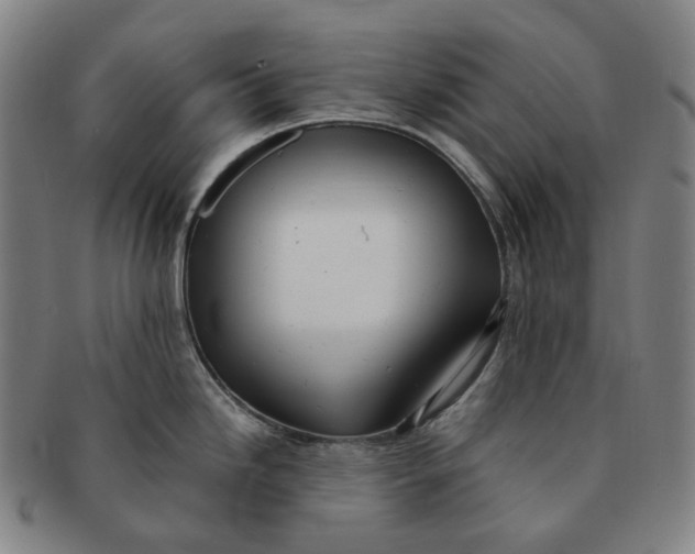 X0000091241246200708301531