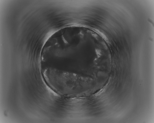 X0000091241247200708301531