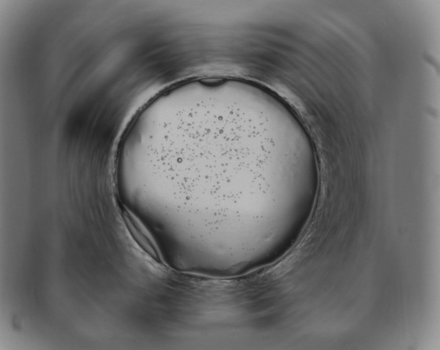 X0000091241248200708301531