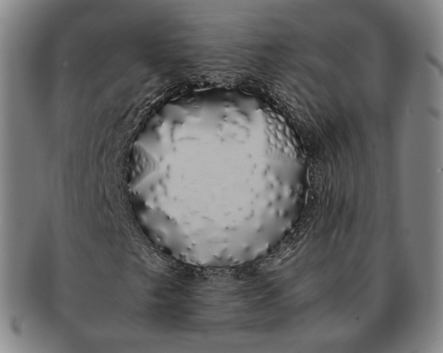 X0000091241249200708301531