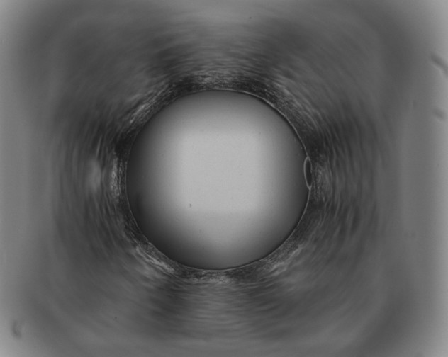 X0000091241250200708301531