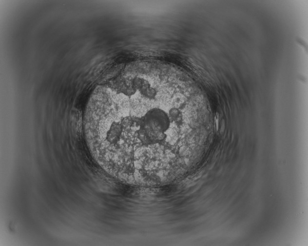 X0000091241251200708301531