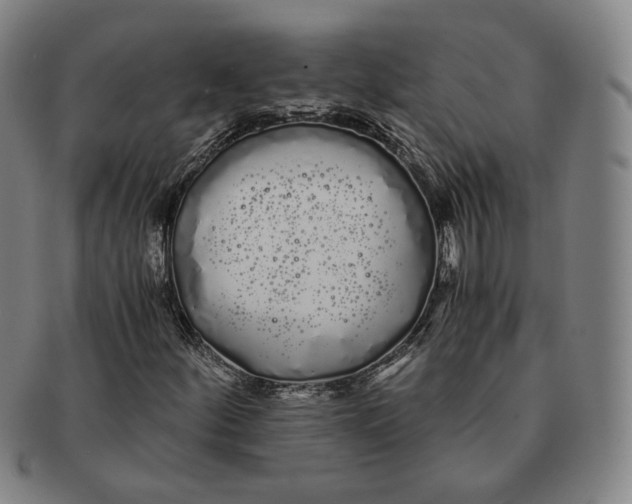 X0000091241252200708301530