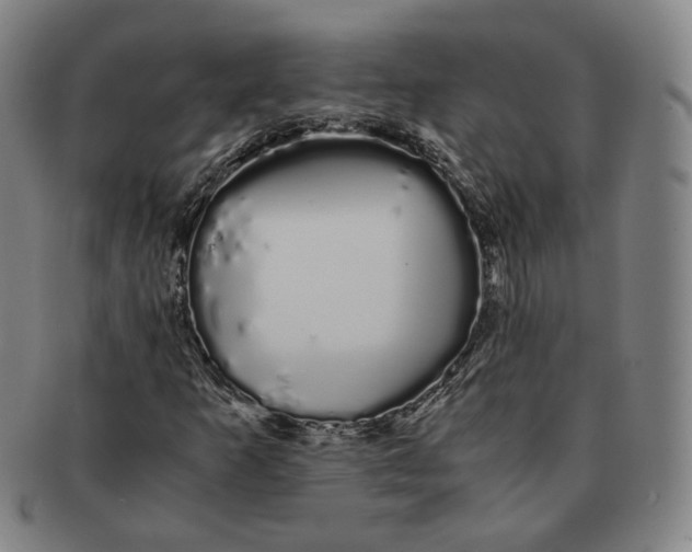 X0000091241253200708301530