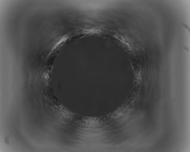 X0000091241254200708301530