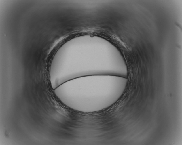 X0000091241256200708301530