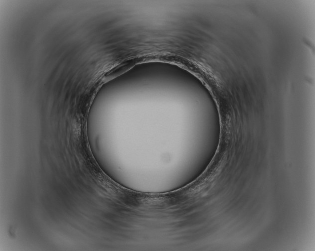 X0000091241257200708301530