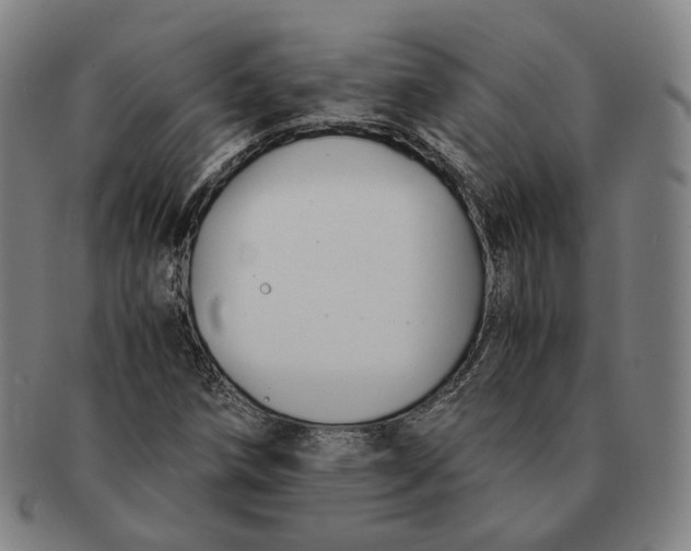 X0000091241258200708301530