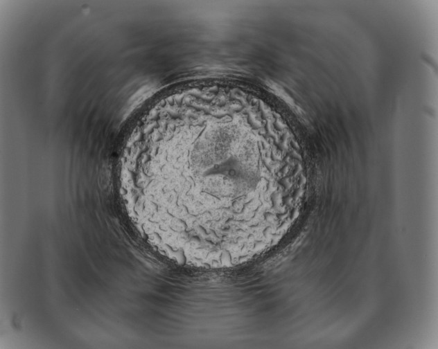 X0000091241259200708301530