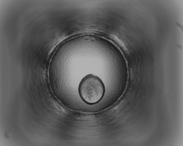 X0000091241260200708301530