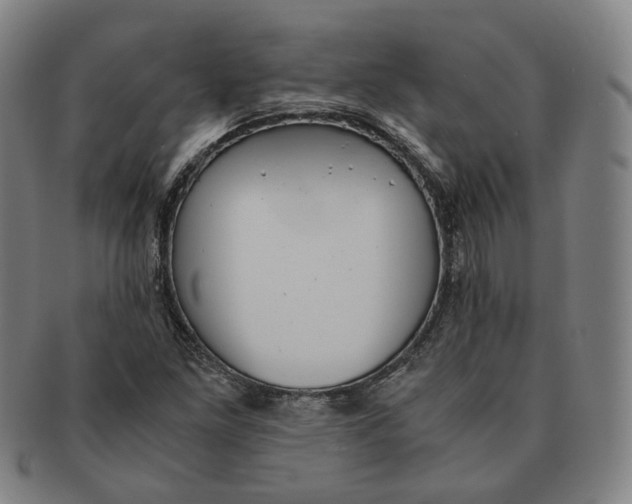 X0000091241261200708301530