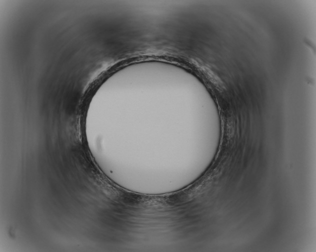 X0000091241262200708301530