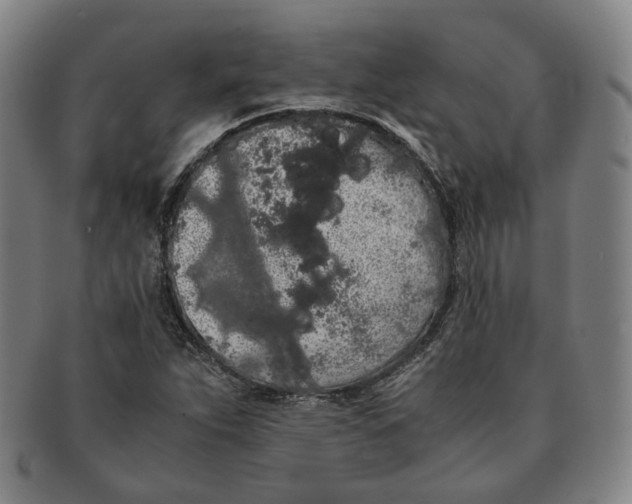 X0000091241263200708301530