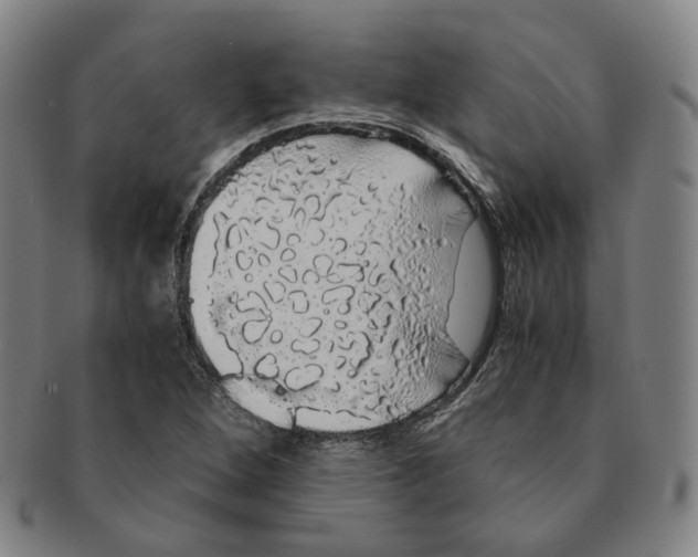 X0000091241264200708301530