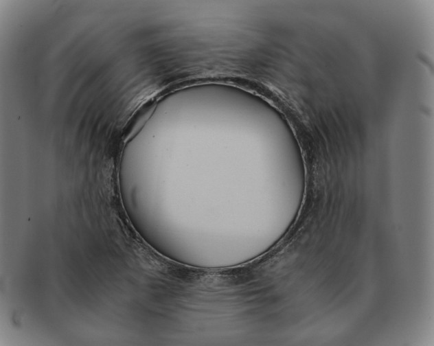 X0000091241265200708301530