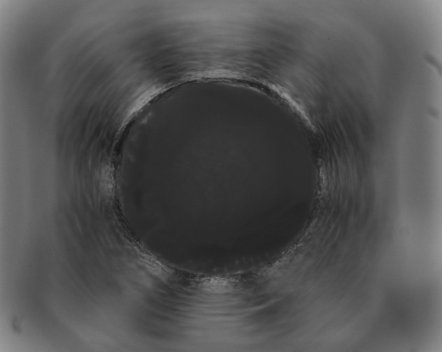 X0000091241266200708301530