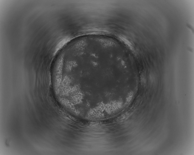 X0000091241267200708301530