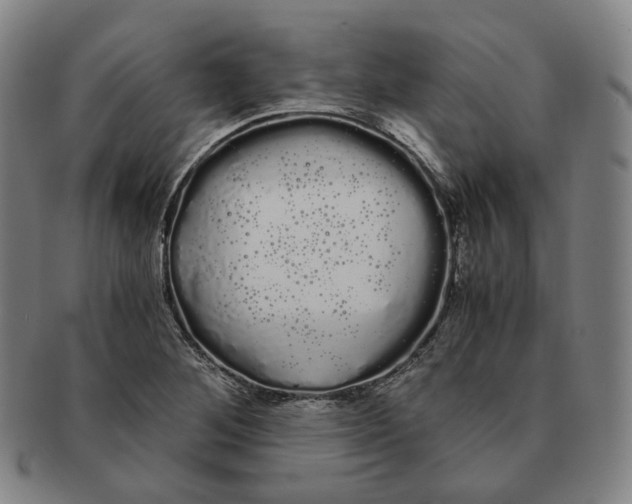 X0000091241268200708301530