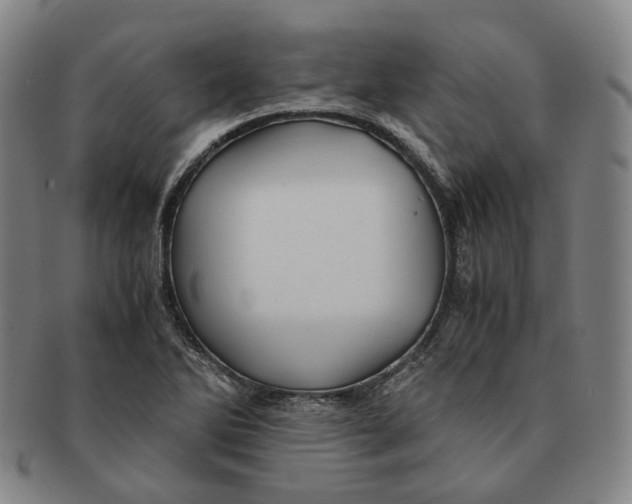 X0000091241270200708301530