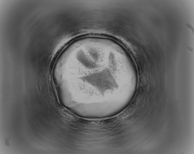 X0000091241271200708301530