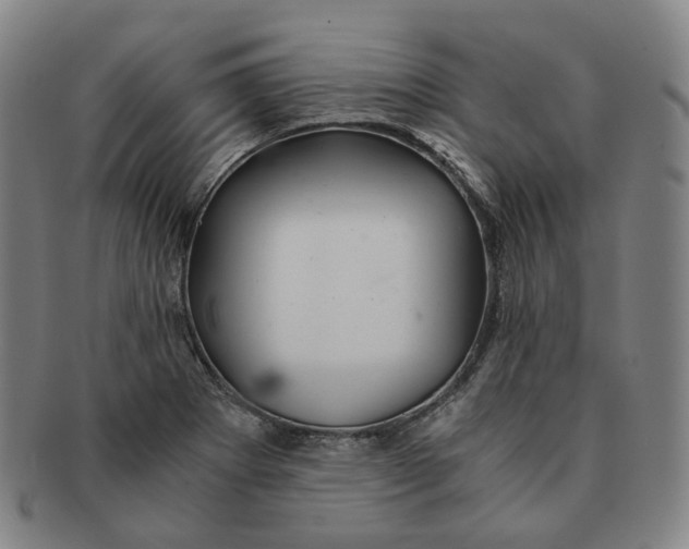 X0000091241273200708301530