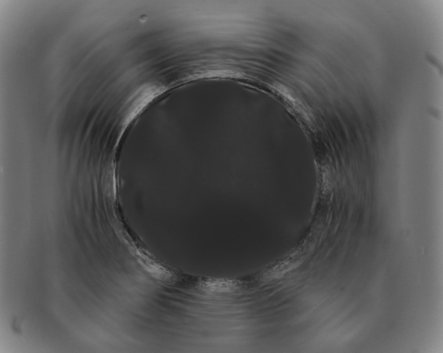 X0000091241274200708301530