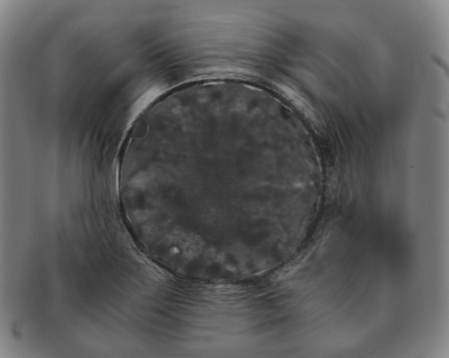 X0000091241275200708301530