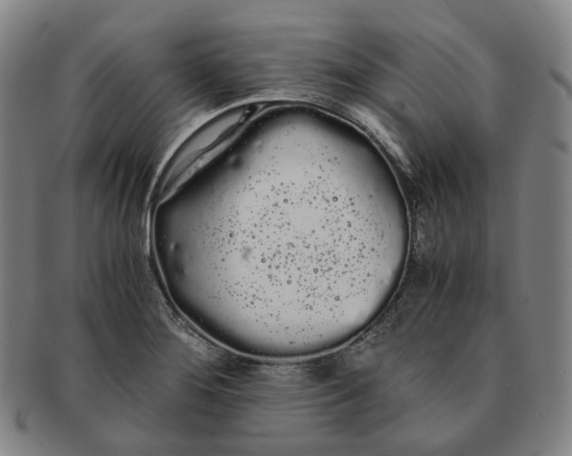 X0000091241276200708301530