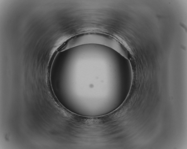 X0000091241277200708301530