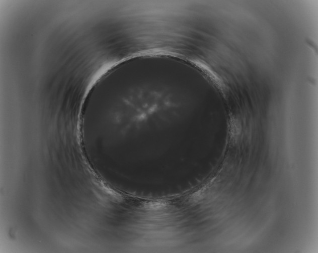 X0000091241278200708301530